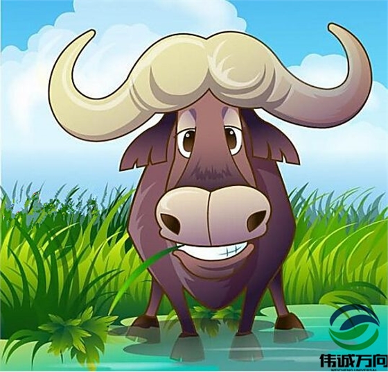 偉誠萬(wàn)向 偉誠萬(wàn)向